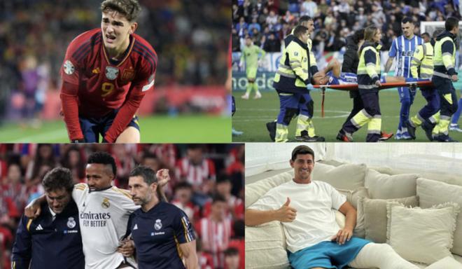 让南京羽毛 让南京羽毛